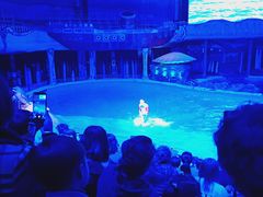 -大连圣亚海洋世界