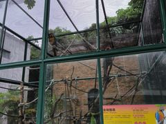-石排湾郊野公园