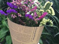 -三圣花乡旅游区