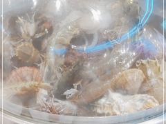 -大锅强·蒸海鲜青岛菜(吾悦广场店)