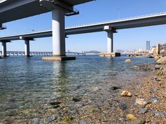 -星海湾跨海大桥