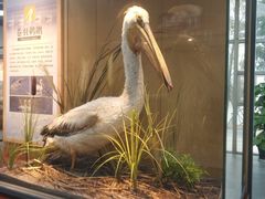 -漩门湾国家湿地公园