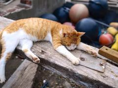 -庐山天沐温泉度假村