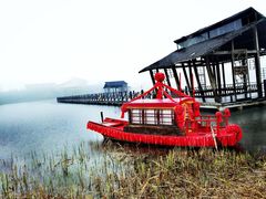 -溱湖国家湿地公园