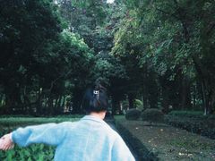 -南宁南湖公园
