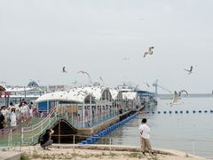 -海驴岛(荣成市)
