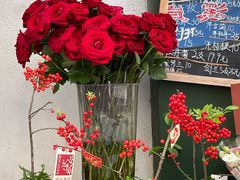-溪岸路花鸟市场