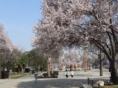 -陕西民俗大观园
