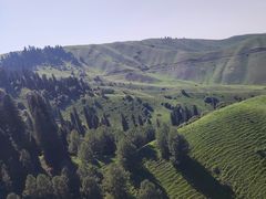 -新疆那拉提国家旅游度假区