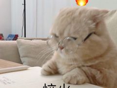 -金色印象·HiFi影音·按摩足疗(龙腾路店)