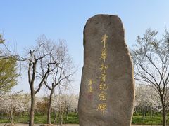 -上海海湾国家森林公园