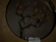 -臻享养生·SPA·影院式足道(汇臻店)