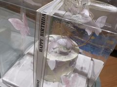 -玉见cake低糖蛋糕甜品台定制(河西店)