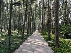 -仁和公园(顺义区)