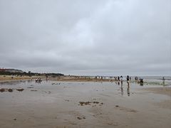 -日照海滨国家森林公园