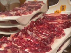 -潮发潮汕牛肉店(东方宝泰店)