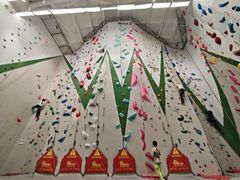 -绿壁虎攀岩基地(Tcar店)
