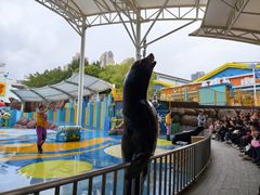 -海合安成都极地海洋公园