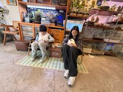 -吉丁鸟咖·异宠·寄养