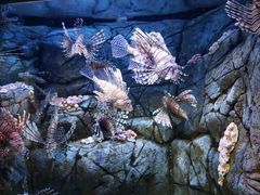 -成都浩海立方海洋公园