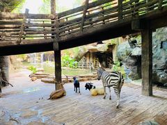 -长鹿旅游休博园