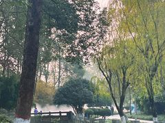 -桂湖森林公园
