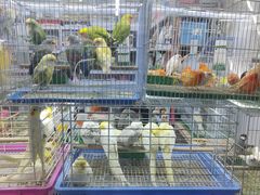 -三旗百汇商品城