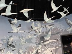 -中国湿地博物馆