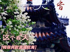 -天坛公园