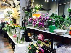 -溪岸路花鸟市场
