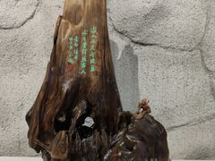 -吉林市博物馆