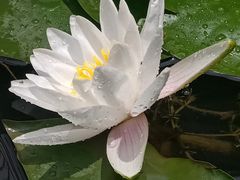 -渭南桃花源民俗文化园