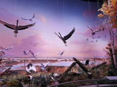 -中国湿地博物馆