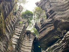 -梭布垭石林景区