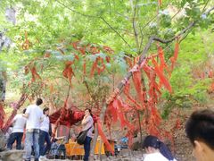 -十渡东湖港风景区