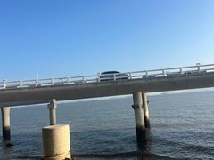 -演武大桥观景平台