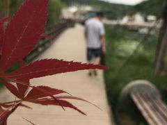 -白鹿原影视城