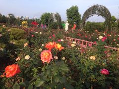 -广州花之恋城堡酒店