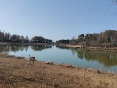 -宁波杭州湾国家湿地公园