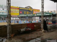 -中环花鸟鱼虫市场