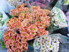 -循礼门鲜花花市(武汉循礼门店)