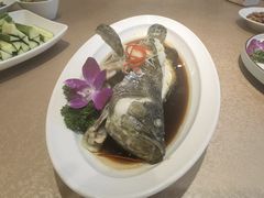 -红高粱大酒店(宁山东路店)