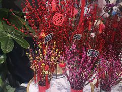 -凯德广场(学府店)