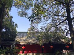-老君山