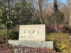 -老山国家森林公园
