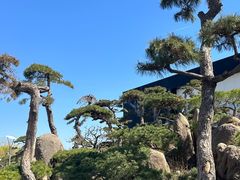 -罗红摄影艺术馆