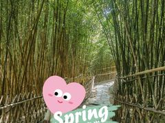 -竹子庵公园