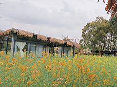-洪湖家庭农场·团建·露营·会议