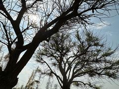 -白鹭湾湿地公园