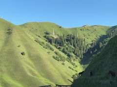 -新疆那拉提国家旅游度假区